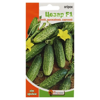 Yaskrava Caesar Cucumber Seeds 0.5g