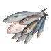 Рыба и морепродукты