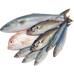 Риба та морепродукти