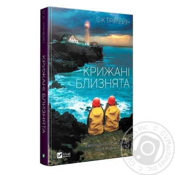 Icy Twins Book - buy, prices for - photo 1