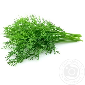 Dill 50g - buy, prices for - photo 2