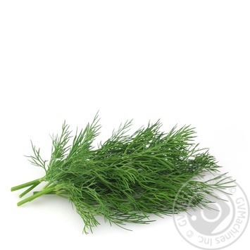 Fresh Dill 100g - buy, prices for ULTRAMARKET - photo 2