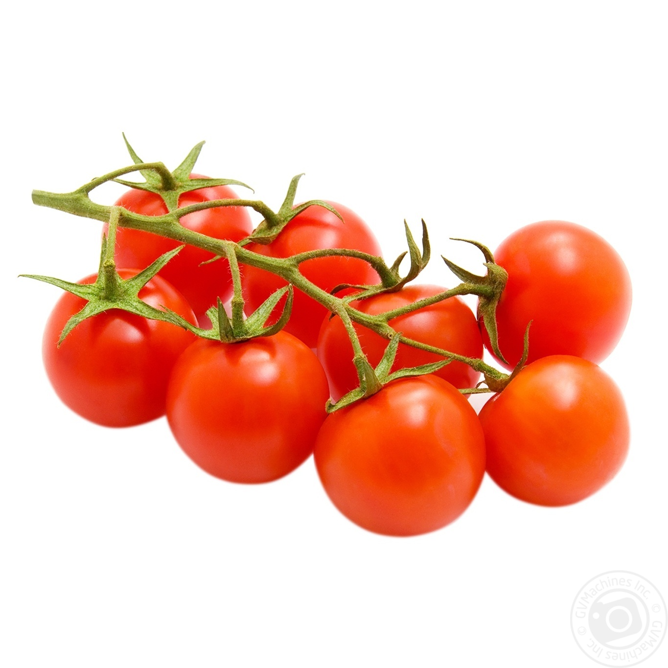 

Помидор Cherry на ветке