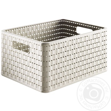 Rotho Box for storage - buy, prices for METRO - photo 1