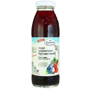 Karpaty Nasolodzhujsya Blueberry-Lingonberry Fruit Drink 300ml - buy, prices for Auchan - photo 1