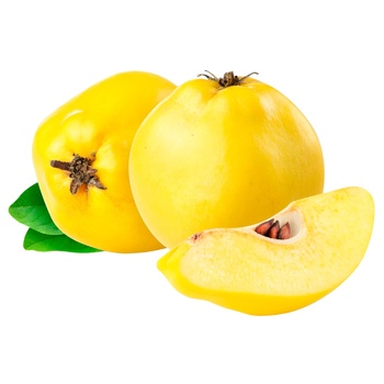 Quince - buy, prices for Vostorg - photo 1