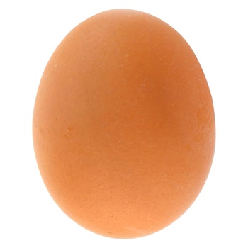 Homemade Chicken Egg 10pcs - buy, prices for - photo 1