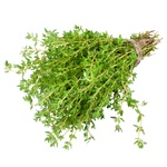 Thyme