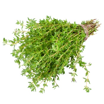 Thyme - buy, prices for Vostorg - photo 1