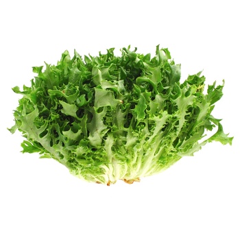 Frisee Lettuce