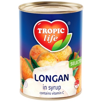 Tropic Life Longan in Syrup 580ml