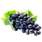 Виноград Молдова