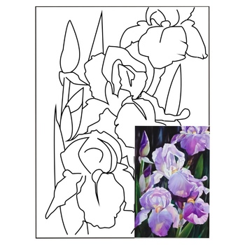 Rosa Start GPA283210 Still Life №10 On Cardboard With Contour Canvas 30х40см - buy, prices for - photo 1