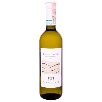 Вино Terregaile Happylands Pinot Grigio DOC біле сухе 12.5% 0,75л - купити, ціни на Таврія В - фото 1