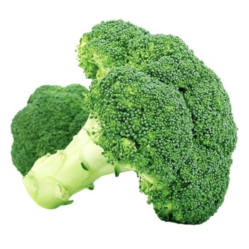 Broccoli