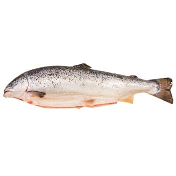 Salmon Carcass - buy, prices for - photo 1