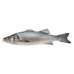 Fish Seabass Fresh ~ 200g