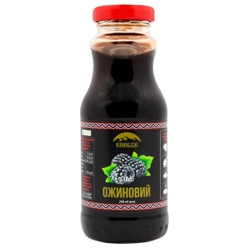 Kanbek Blackberry Sauce 250ml - buy, prices for - photo 1