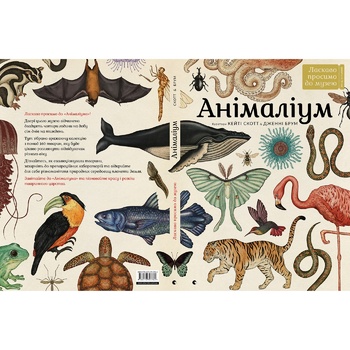 J. Broom Animalium Book - buy, prices for NOVUS - photo 2