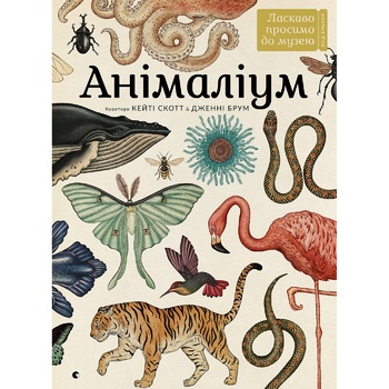 J. Broom Animalium Book