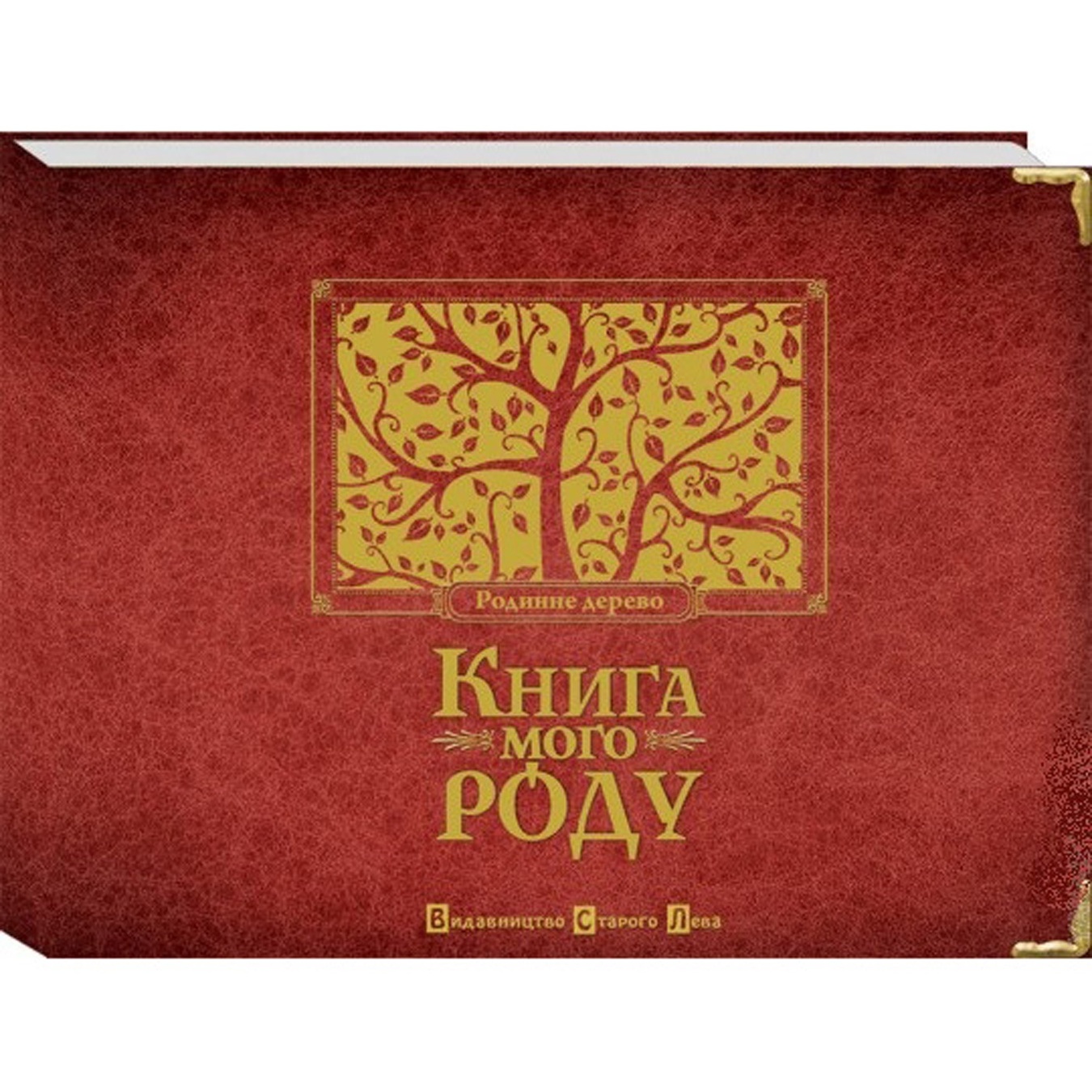 

Книга Книга моего рода