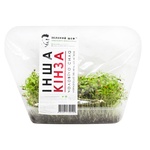 Green Chef Cilantro Microgreens