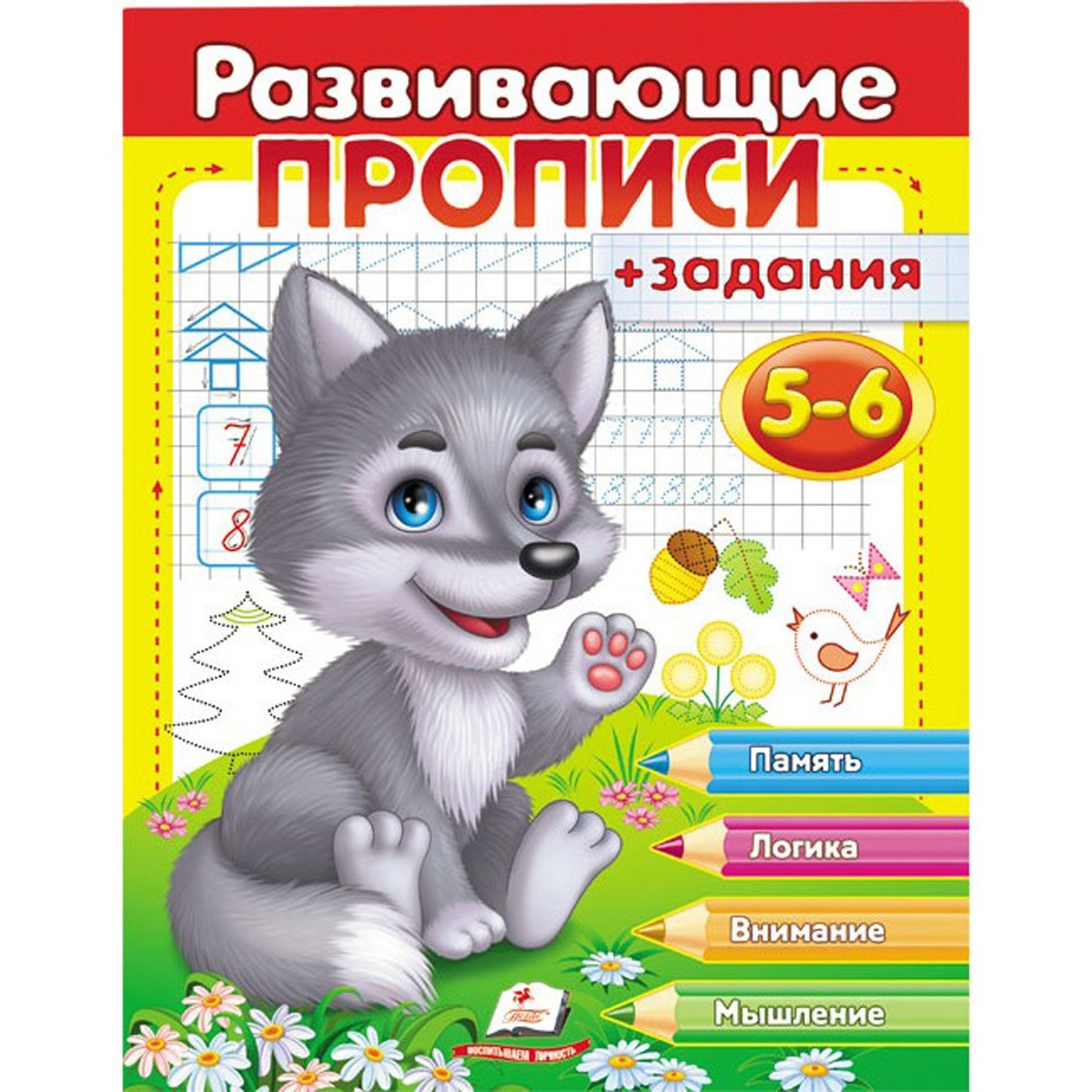 

Книга Развивающие прописи + задачи 5-6