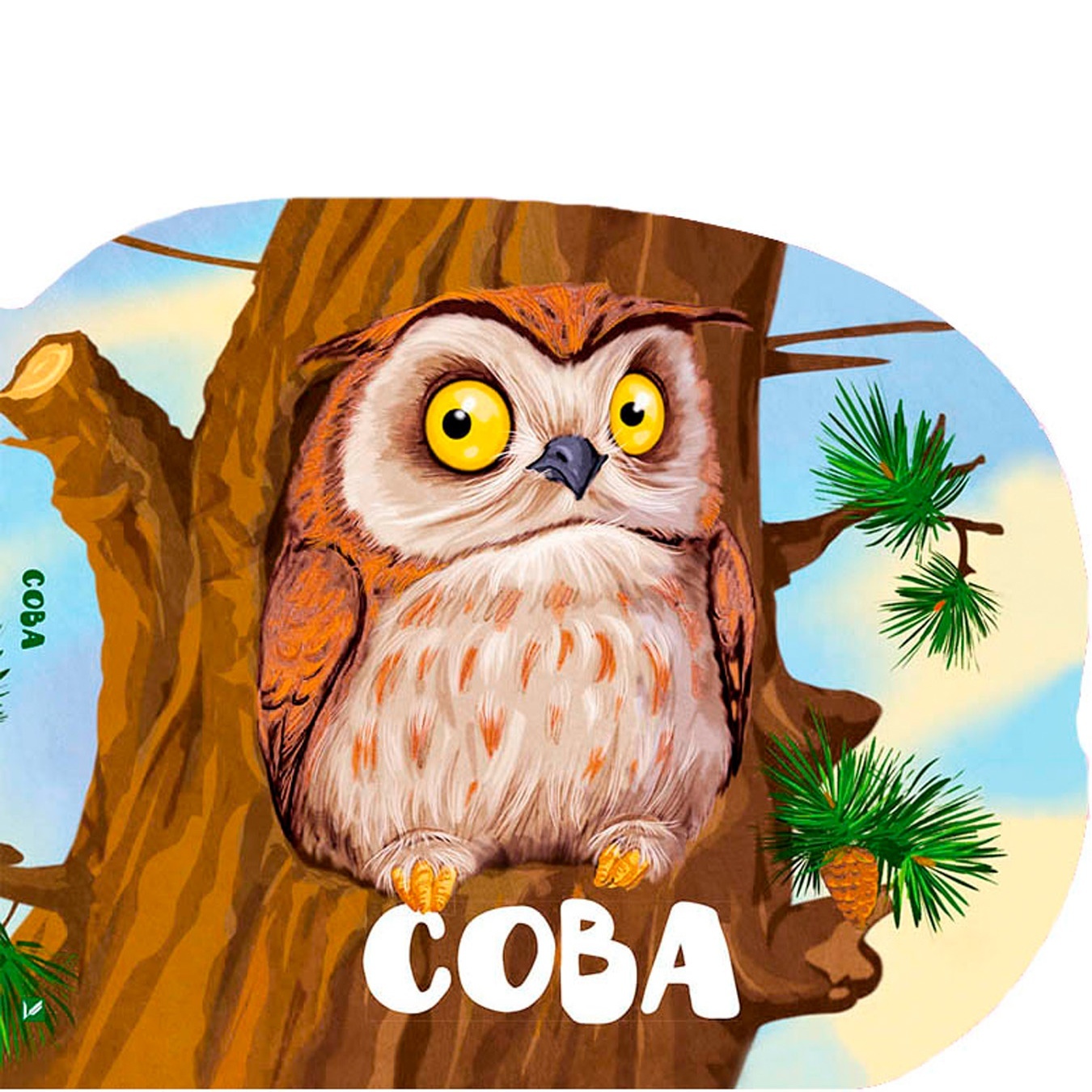 

Книга Сова