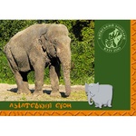 Комплект листівок Балтія Друк Київський зоопарк 10,5x14,8см