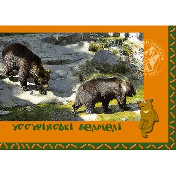 Baltiya Druk Kyiv's Zoo Postcards Set 10.5x14.8cm - buy, prices for NOVUS - photo 2