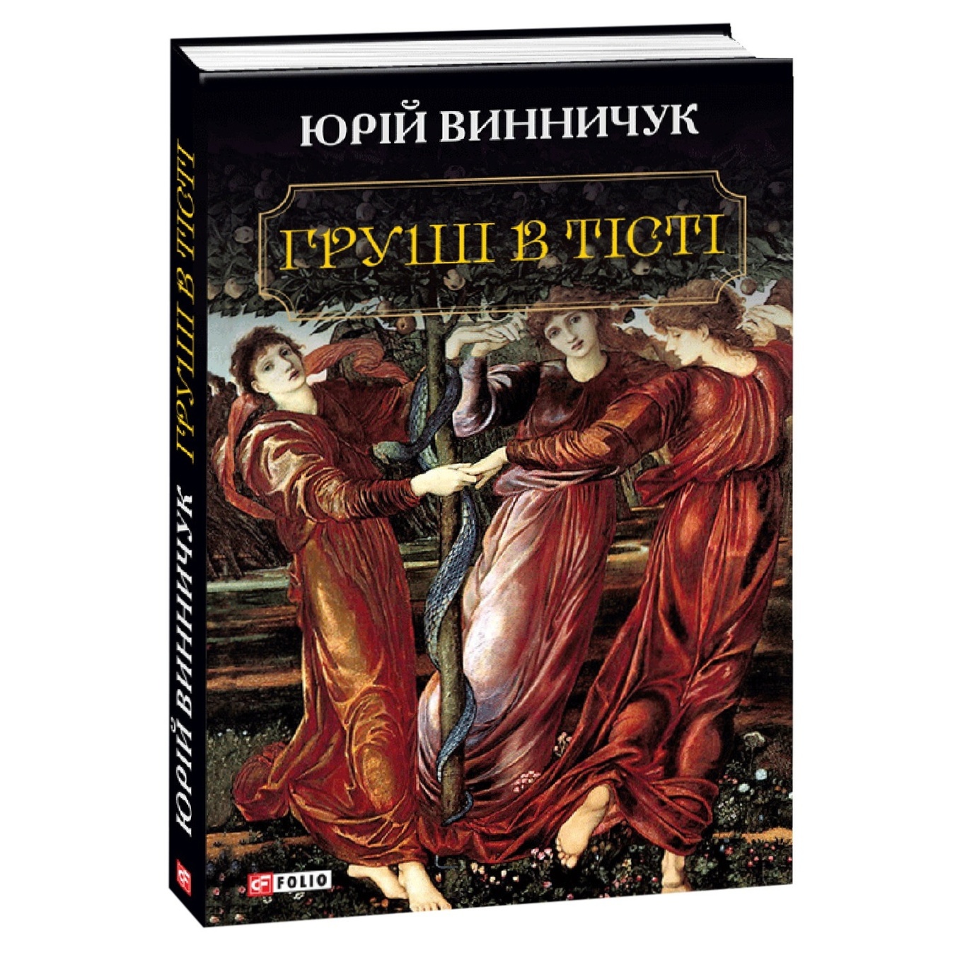 

Книга Винничук Ю. Груши в тесте