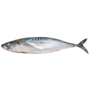 Frozen Atlantic Mackerel - buy, prices for EKO Market - photo 1