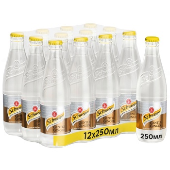 Напиток Schweppes Gentle Ginger сильногазированный со вкусом имбиря 250мл - купить, цены на METRO - фото 1