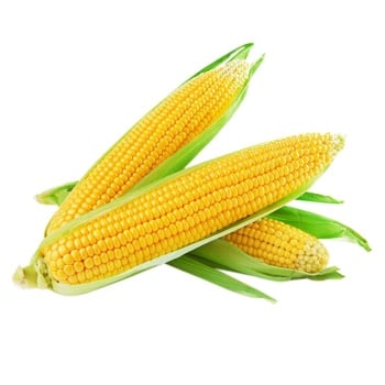 Corn Ukraine