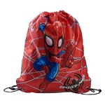 Auchan Spider Man Bag for Shoes