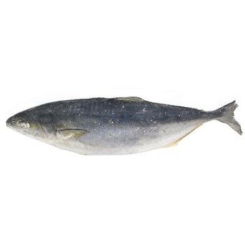 Fresh Frozen Yellowtail with Head by Weight - buy, prices for Auchan - photo 1