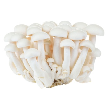 mushrooms shimeji white fresh 150g Ukraine