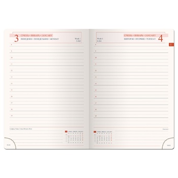 Leo Planner Case Dated Soft Brown Weekly Notebook A5 368 pages - buy, prices for Auchan - photo 2