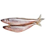 Spicy Salting Sprat