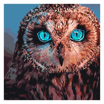 Ideyka Mysterious Owl Creativity Set 40x40cm - buy, prices for - photo 1