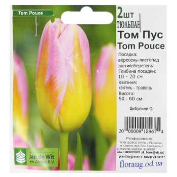 Bulbs G - buy, prices for - photo 6