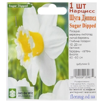 Bulbs G - buy, prices for - photo 8