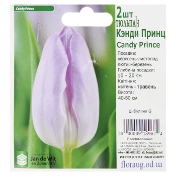 Bulbs G - buy, prices for - photo 2