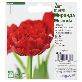 Цибулини G - купити, ціни на Біотус - фото 5