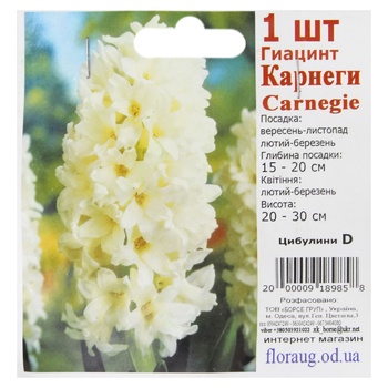 Луковицы D - купить, цены на КОСМОС - фото 8