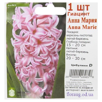 Цибулини D - купити, ціни на КОСМОС - фото 3