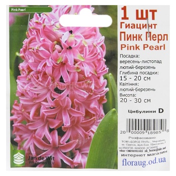 Цибулини D - купити, ціни на КОСМОС - фото 7