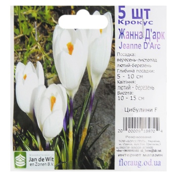 Bulbs F - buy, prices for COSMOS - photo 4