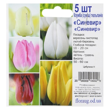 Цибулини H - купити, ціни на КОСМОС - фото 2