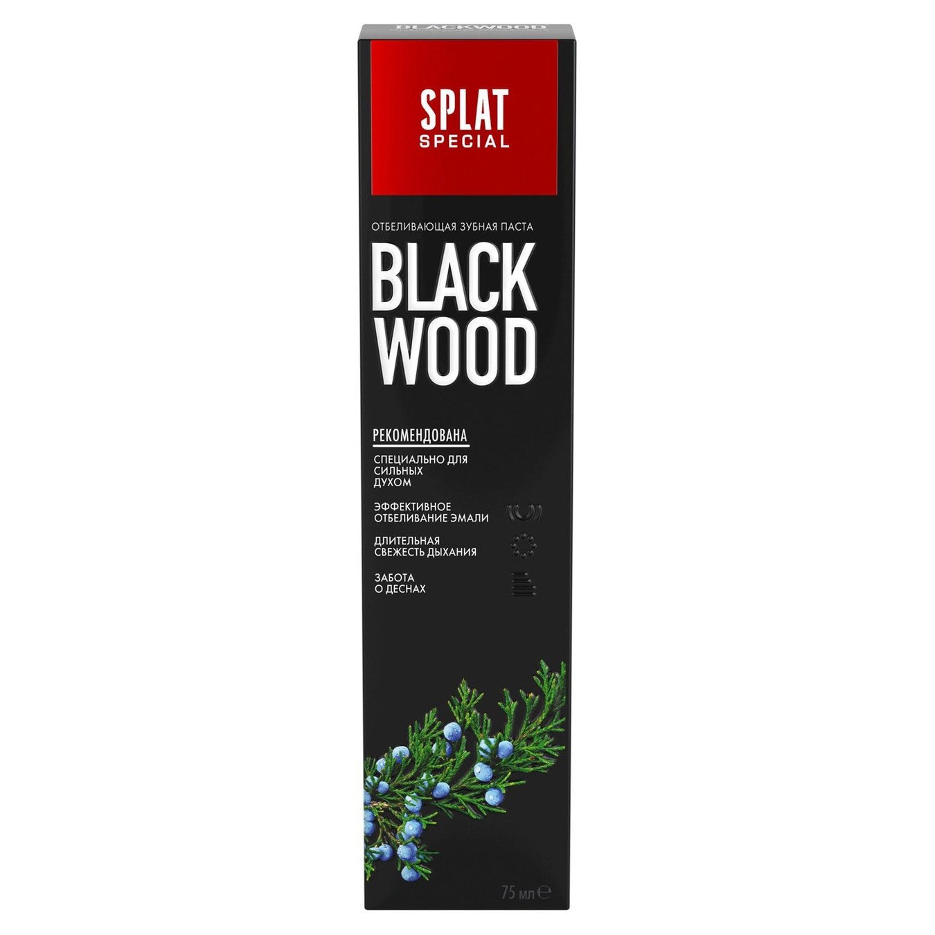 

Зубна паста Splat Special Blackwood 75мл